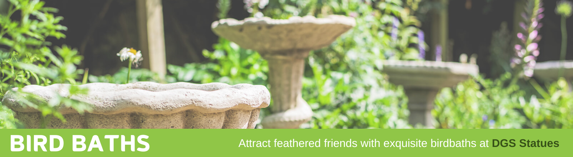Birdbath Collection