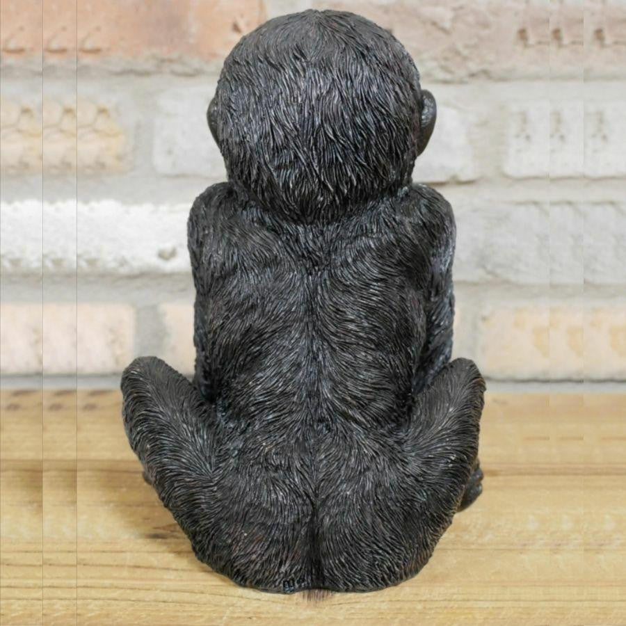 Baby Gorilla