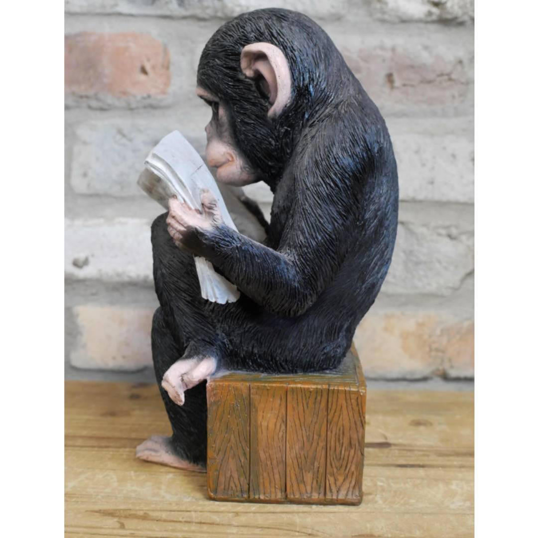 Cute Monkey Reading The News