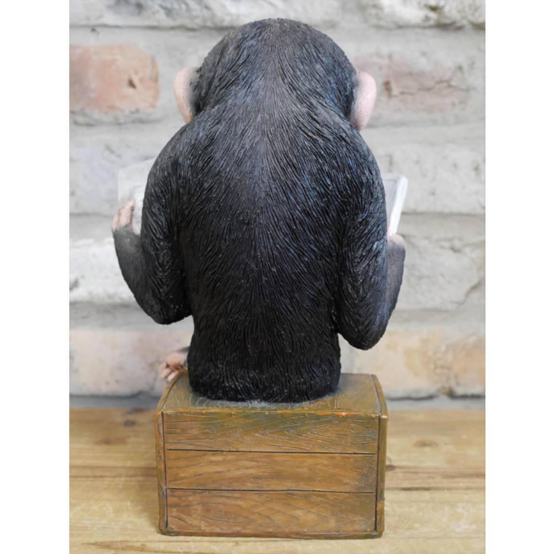 Cute Monkey Reading The News
