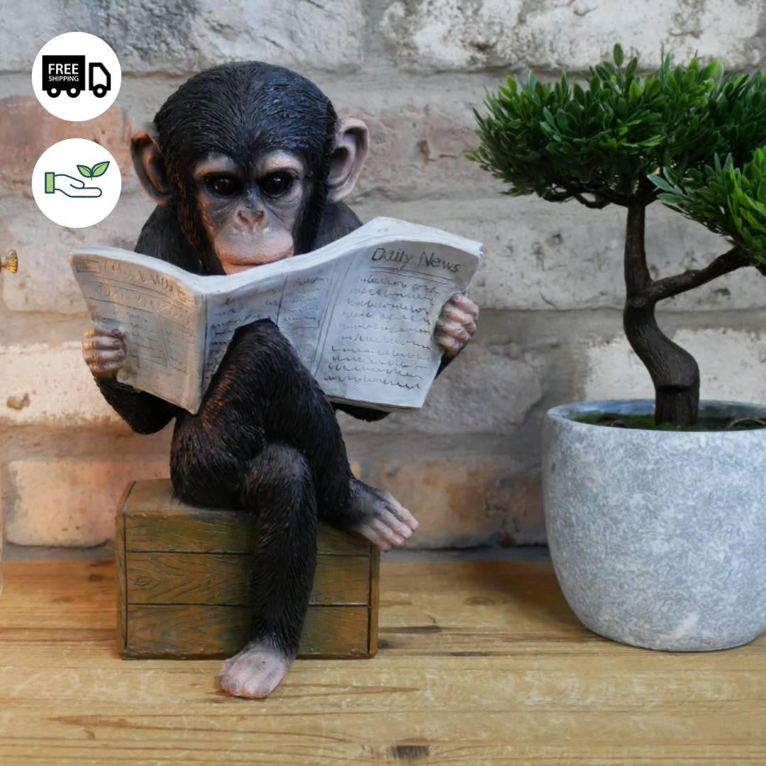 Cute Monkey Reading The News