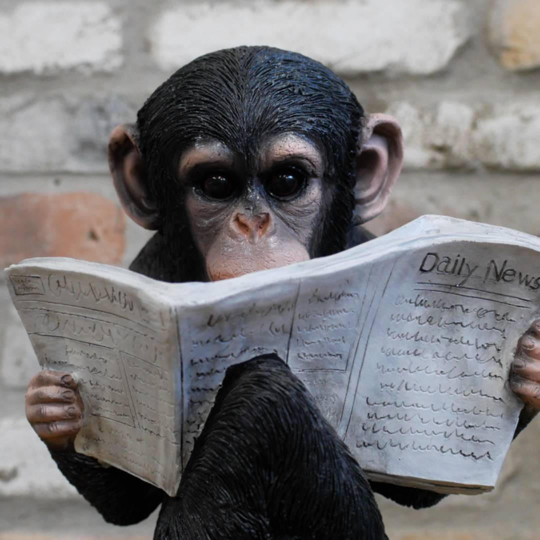 Cute Monkey Reading The News