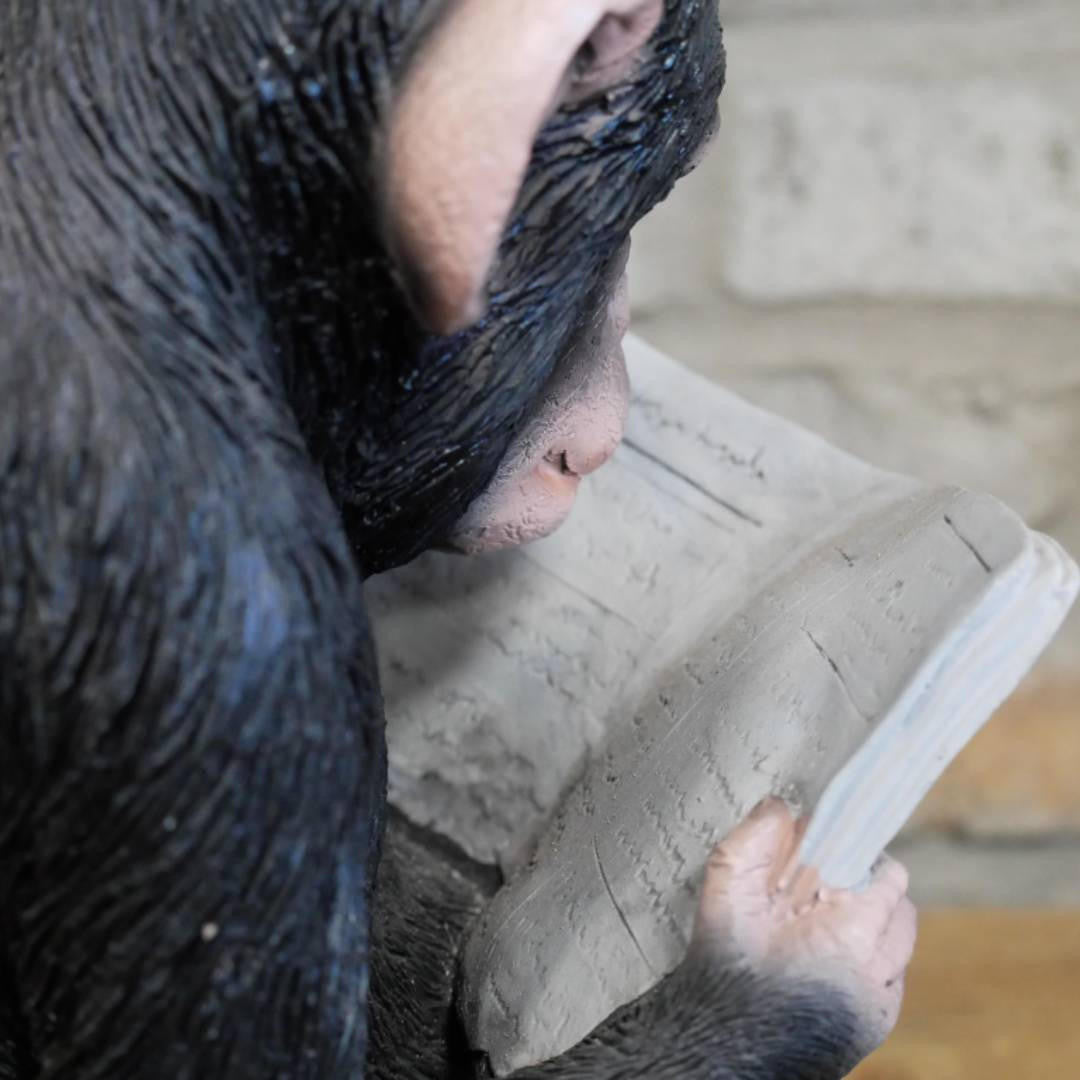 Cute Monkey Reading The News