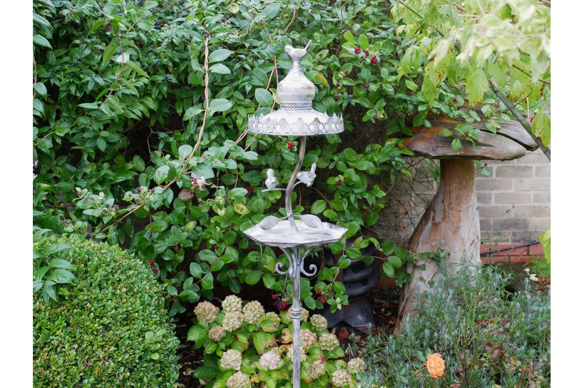 Fascinating Dedicated Metal bird feeder