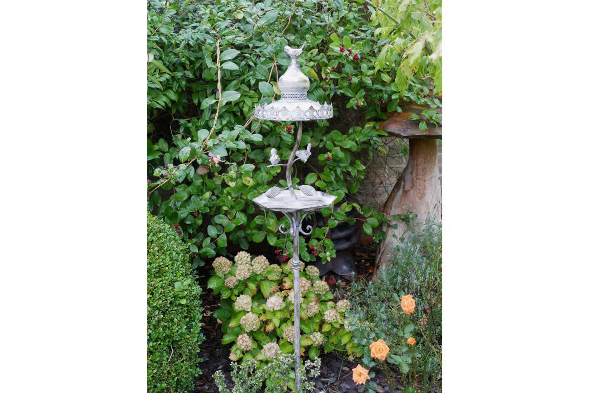Fascinating Dedicated Metal bird feeder