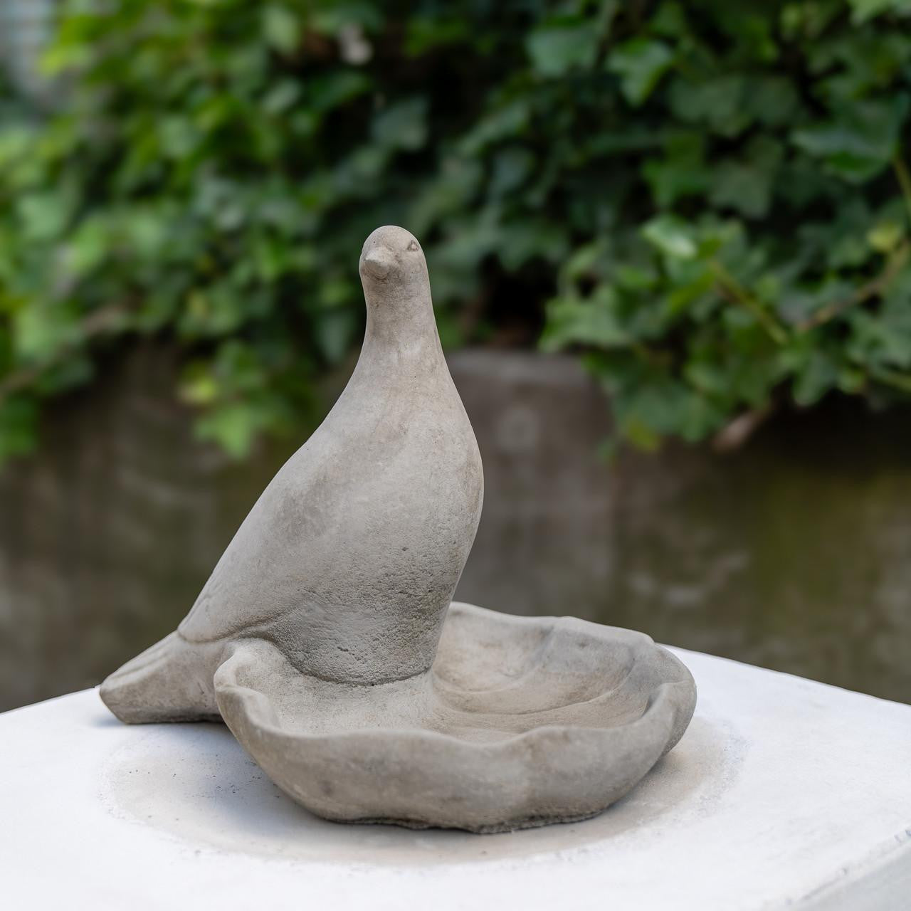 Floor level Birdbath with Perching Pigeon / Bird feeder