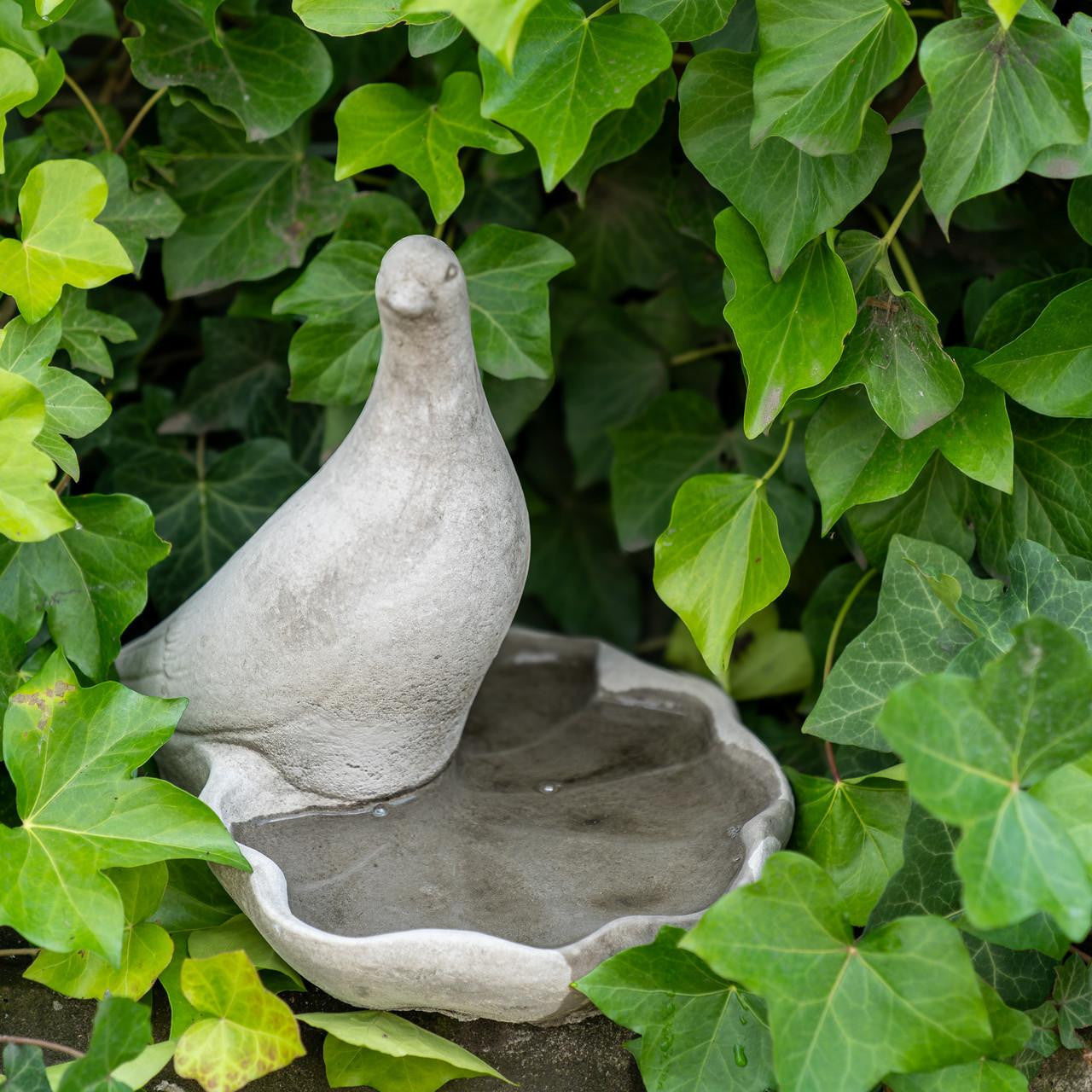 Floor level Birdbath with Perching Pigeon / Bird feeder