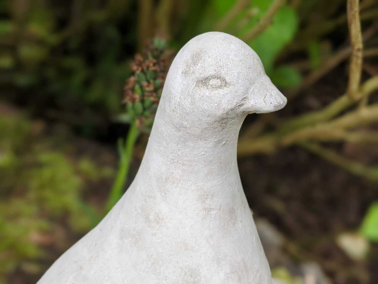 Floor level Birdbath with Perching Pigeon / Bird feeder