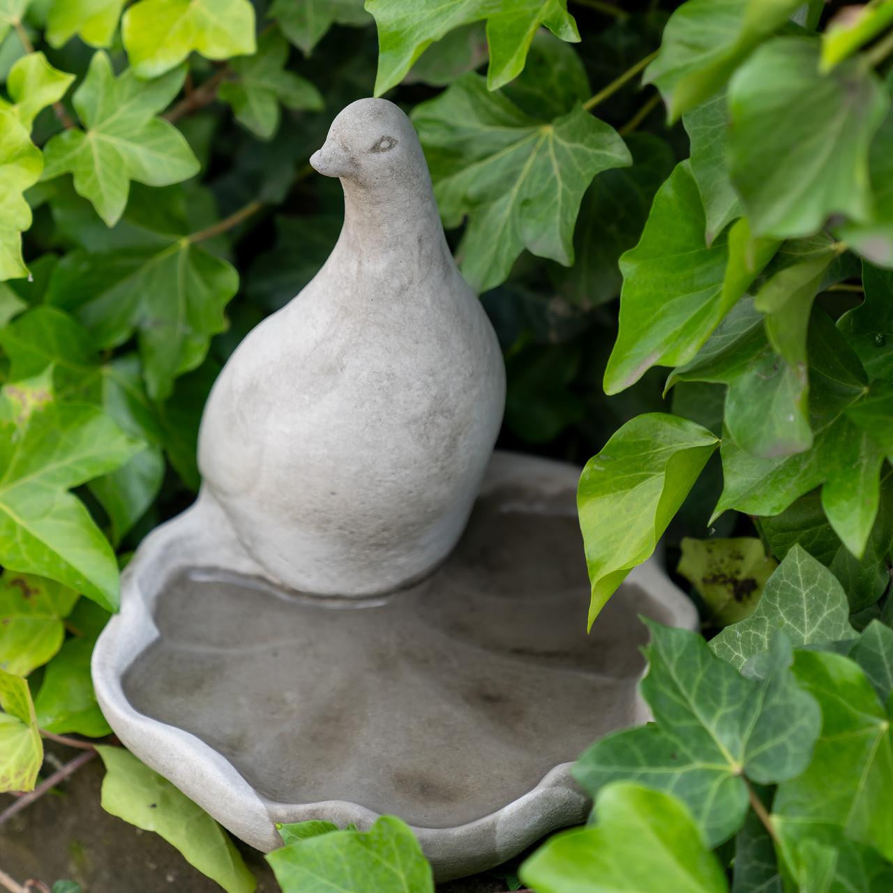 Floor level Birdbath with Perching Pigeon / Bird feeder