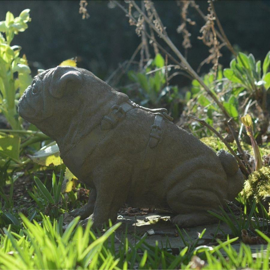 Full Size Pug Cold cast Bronze dog Statue