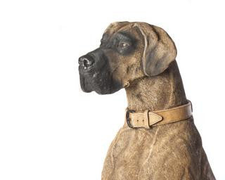 Giant life-size Hunting Dog Great Dane Statue
