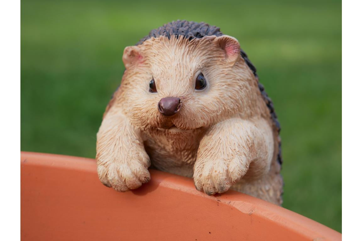 Hedgehog Pot Hanger Ornament