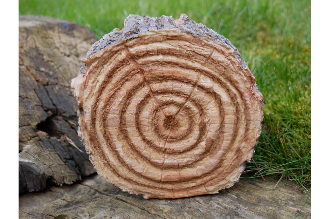 Hedgehogs In Log Home Accessory Garden Ornament