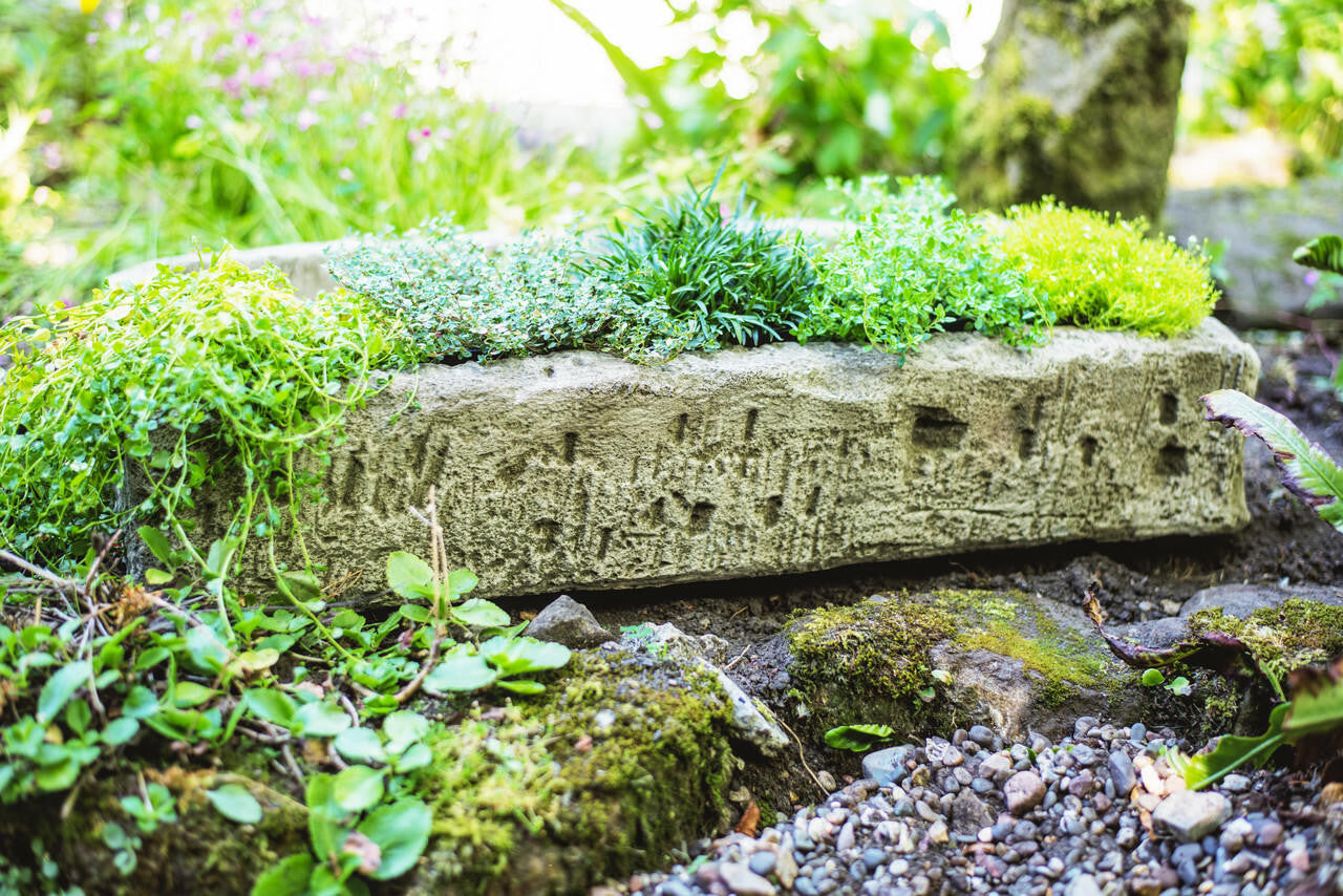 Herb Garden Planter Trough