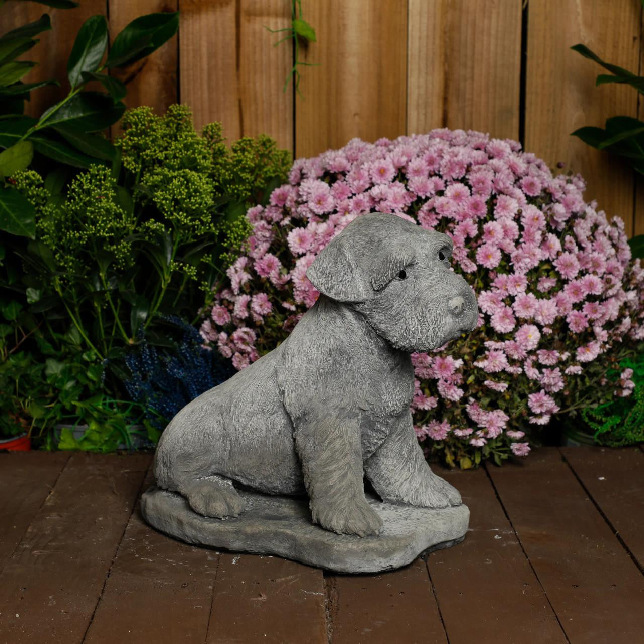 Large Schnauzer Stone Dog garden ornament