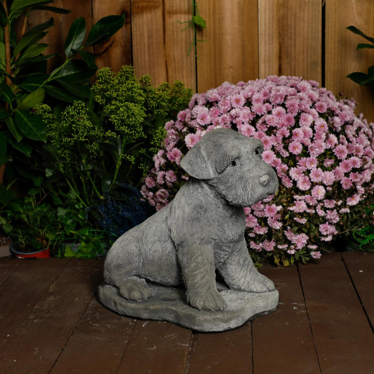 Large Schnauzer Stone Dog garden ornament