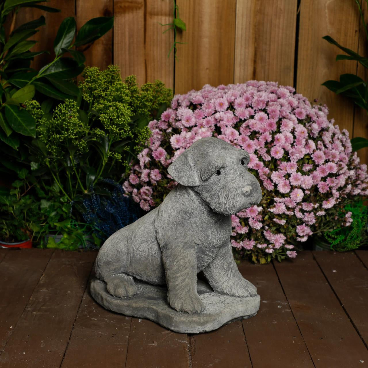 Large Schnauzer Stone Dog garden ornament