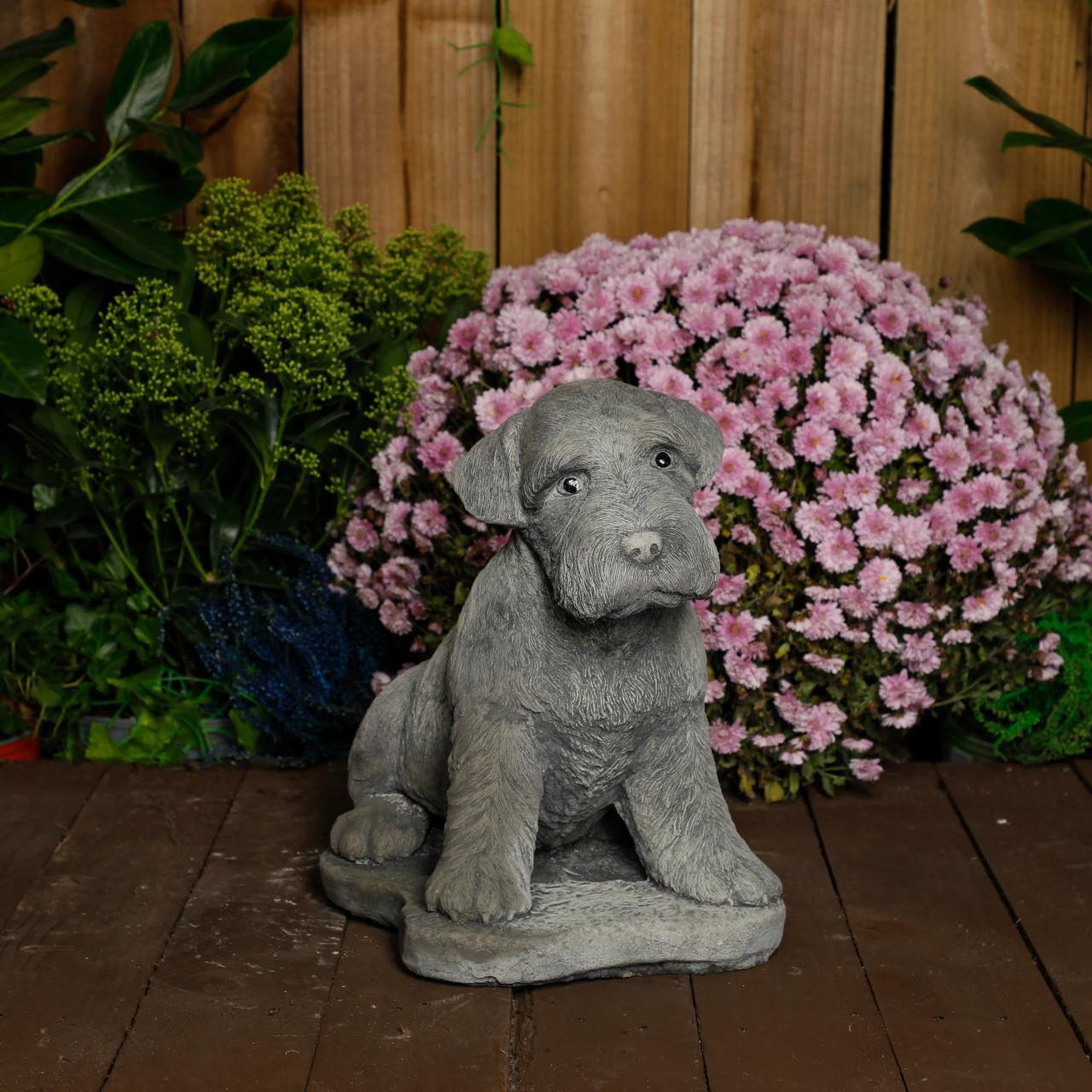 Large Schnauzer Stone Dog garden ornament