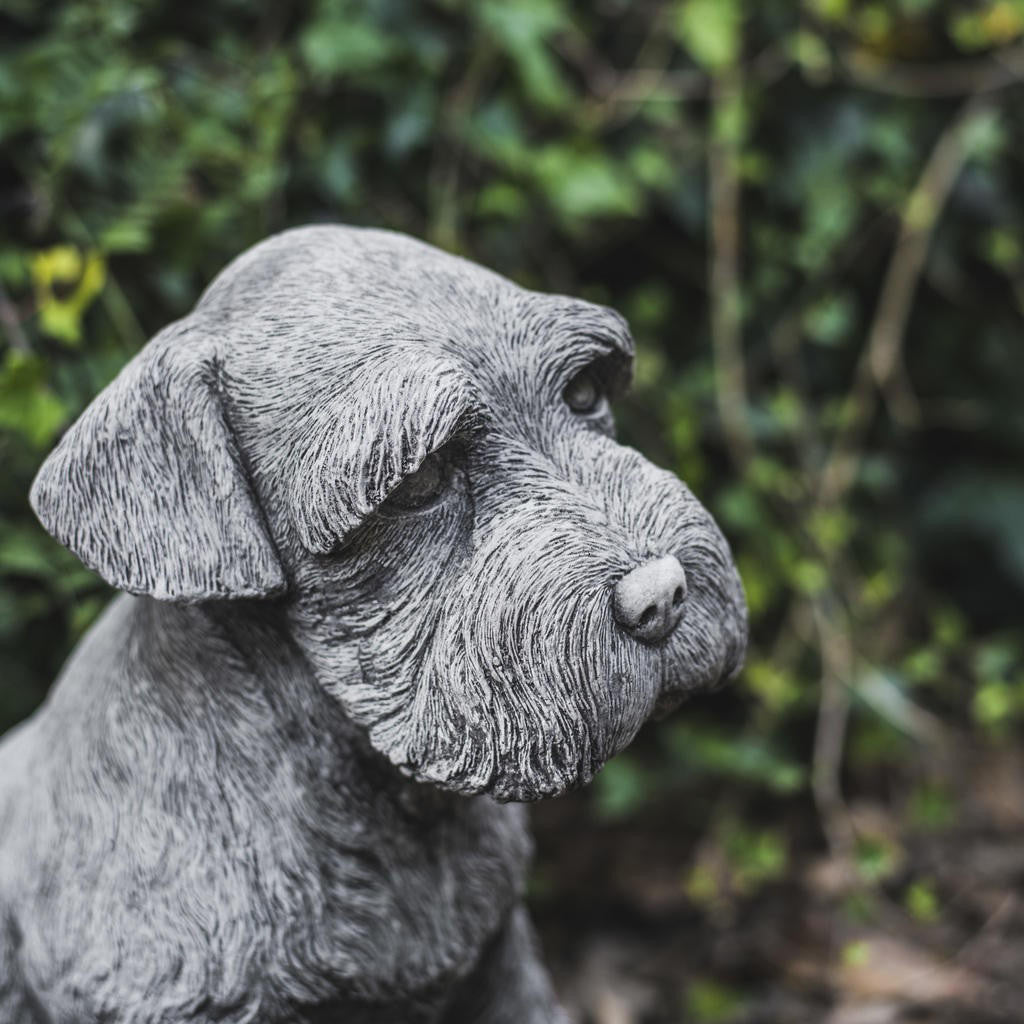 Large Schnauzer Stone Dog garden ornament