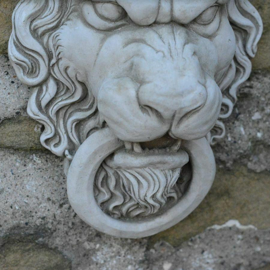 Lion Head design Wall Plaque