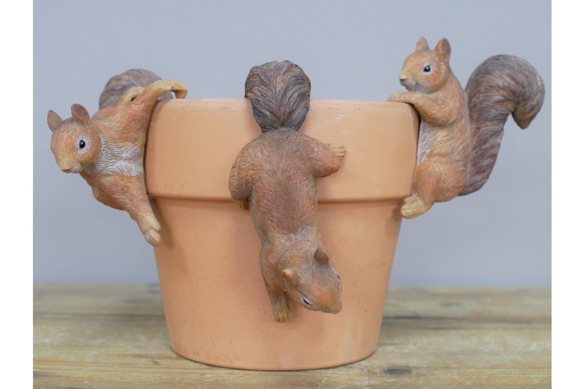 Lovely Small Three Squirrel Hangers Pot