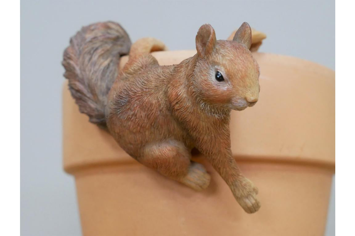 Lovely Small Three Squirrel Hangers Pot
