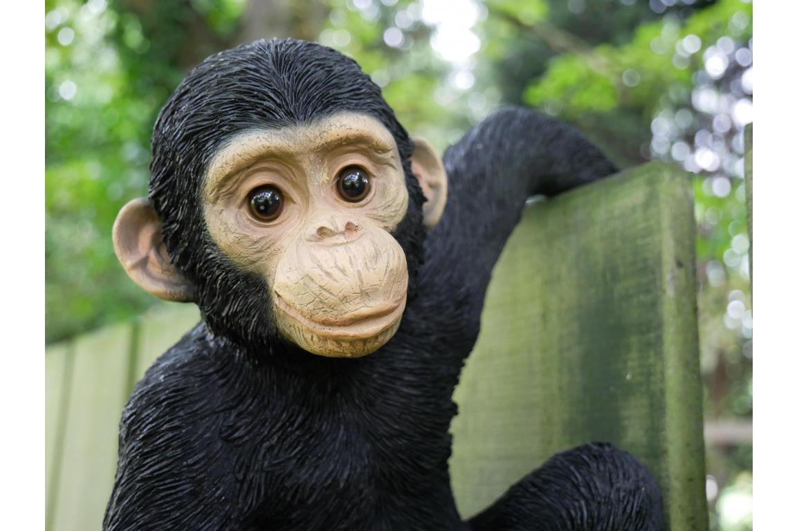 Monkey Fence Hanger Outdoor Ornament