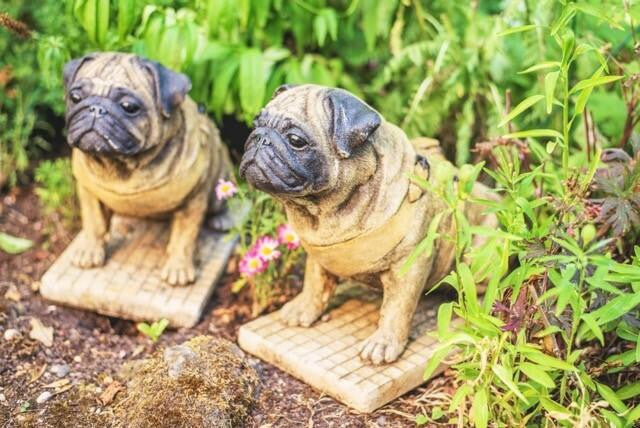 Pair of Full Size Sitting Pugs Stone Statues