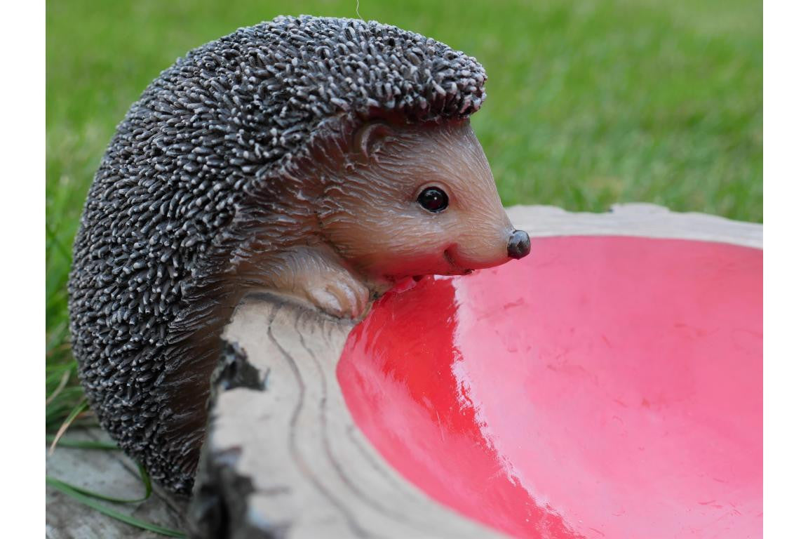 Small Adorable Hedgehog Bird Feeder
