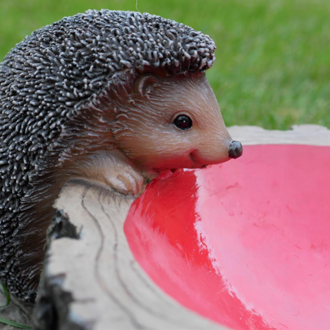 Small Adorable Hedgehog Bird Feeder