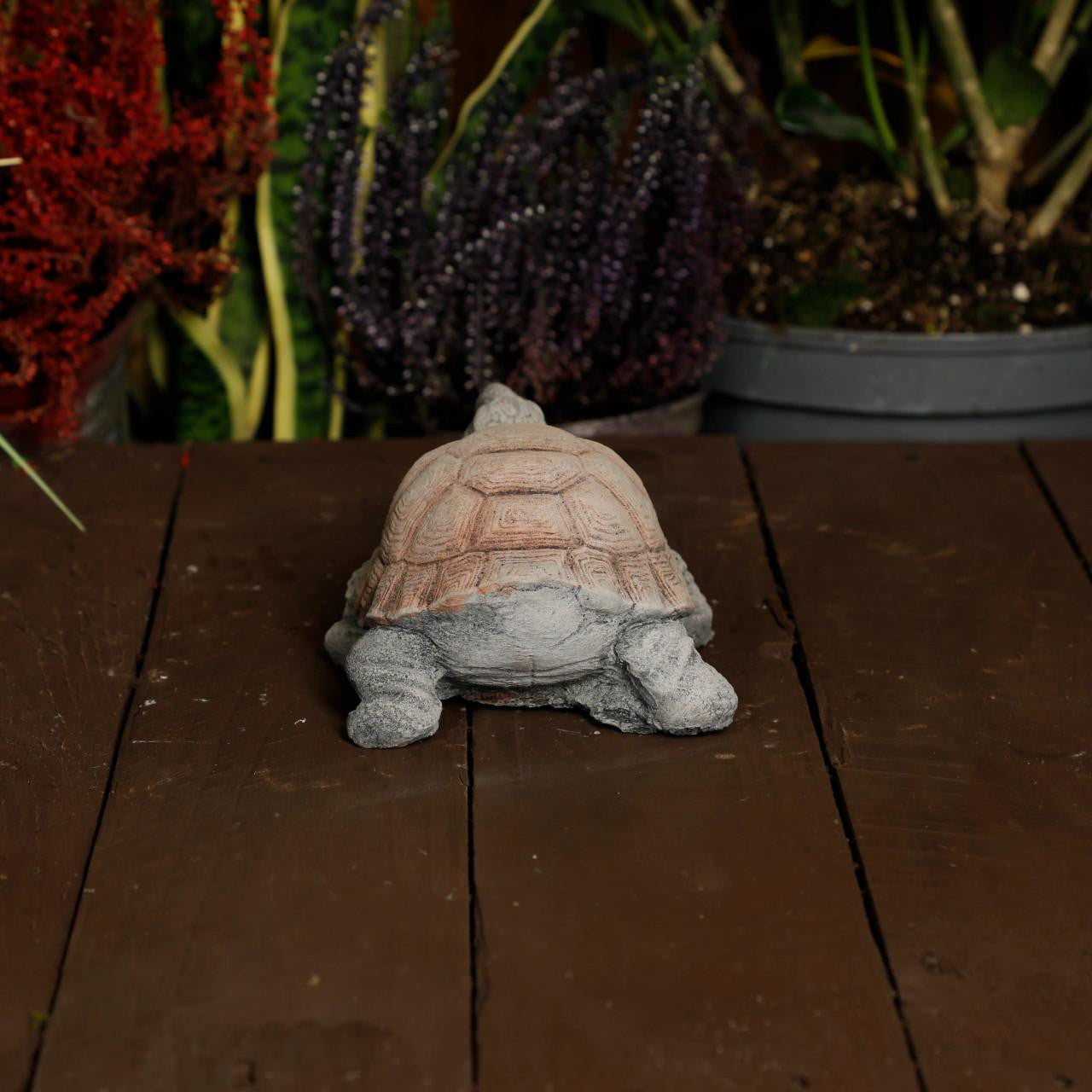 Small Stone Cast Tortoise Garden Ornament