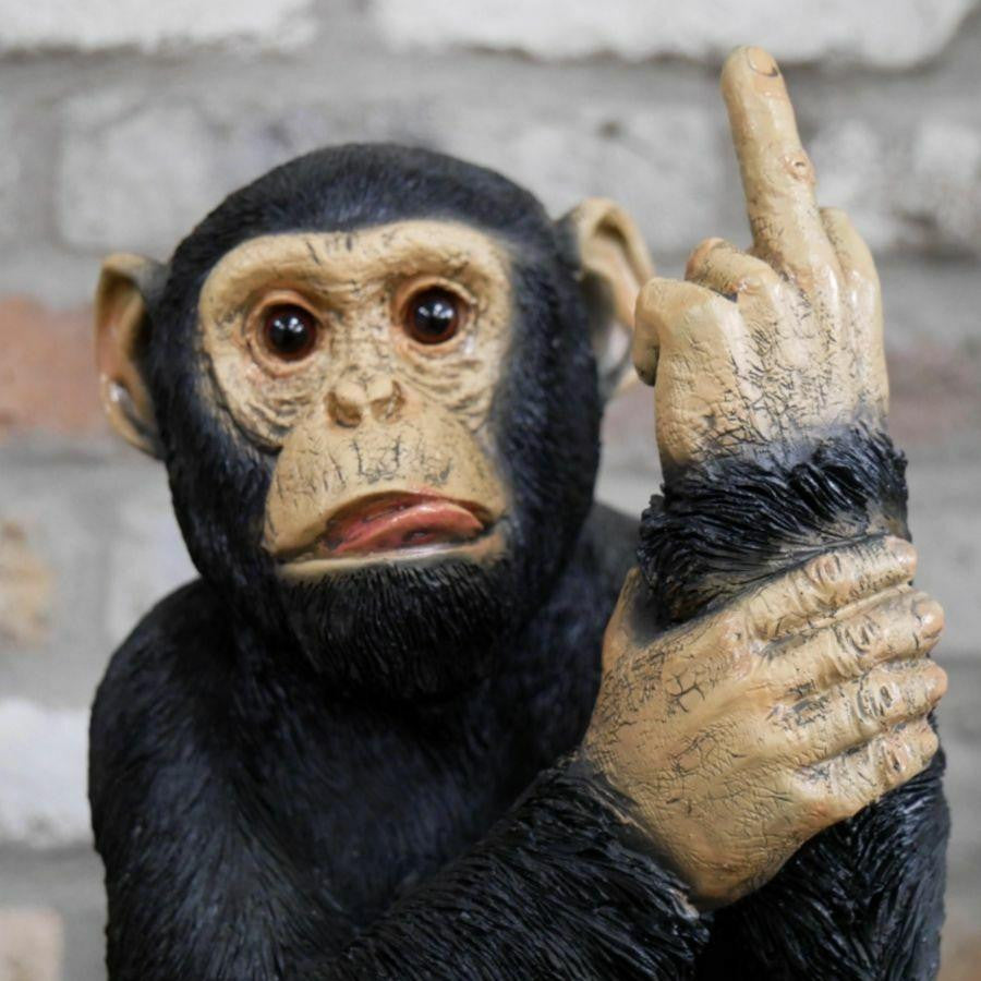 Up Yours Monkey