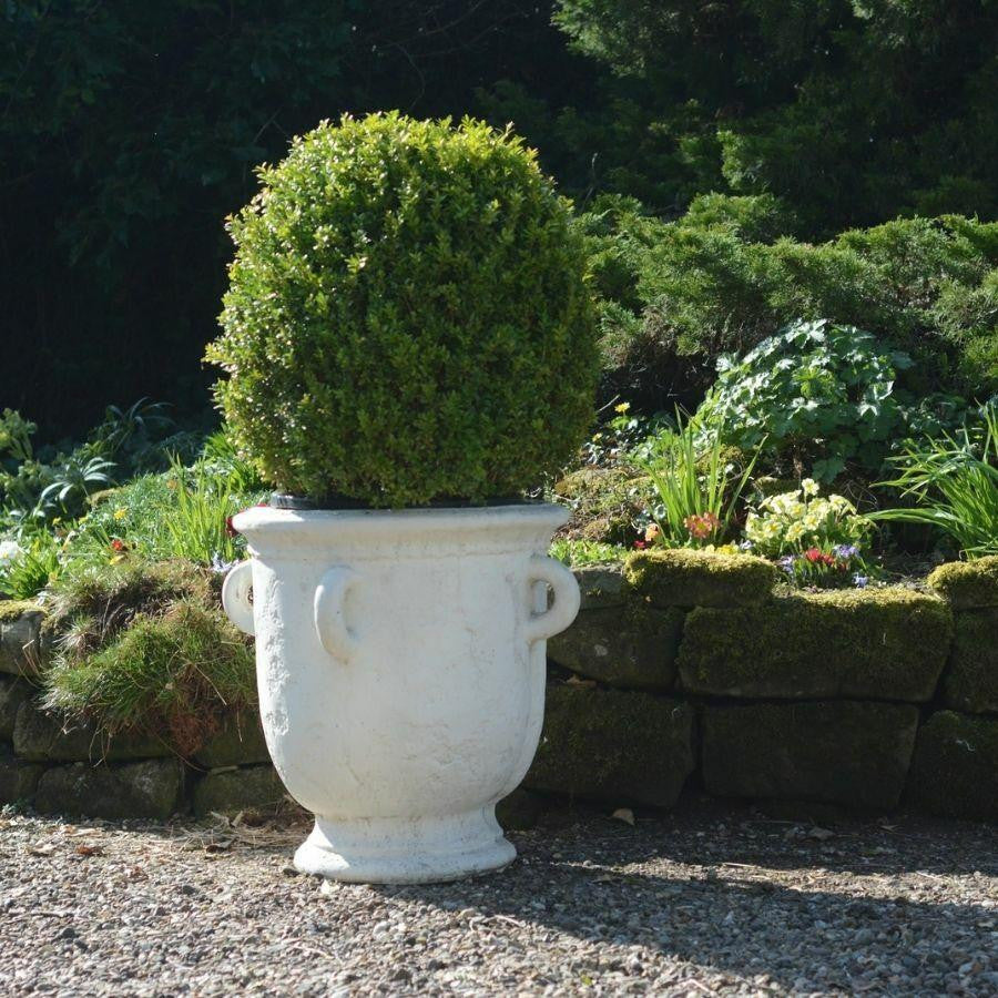 Very Large Rustic Ancient Style Pot With Ring Handles