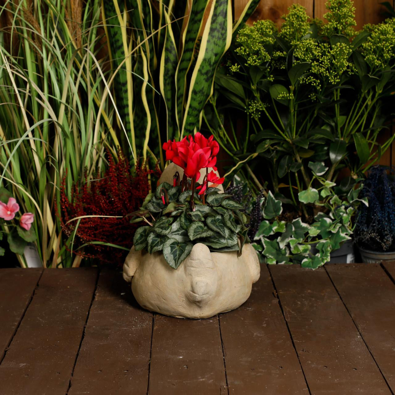 Whimsical Stone Cast Rubber Duck Planter Pot