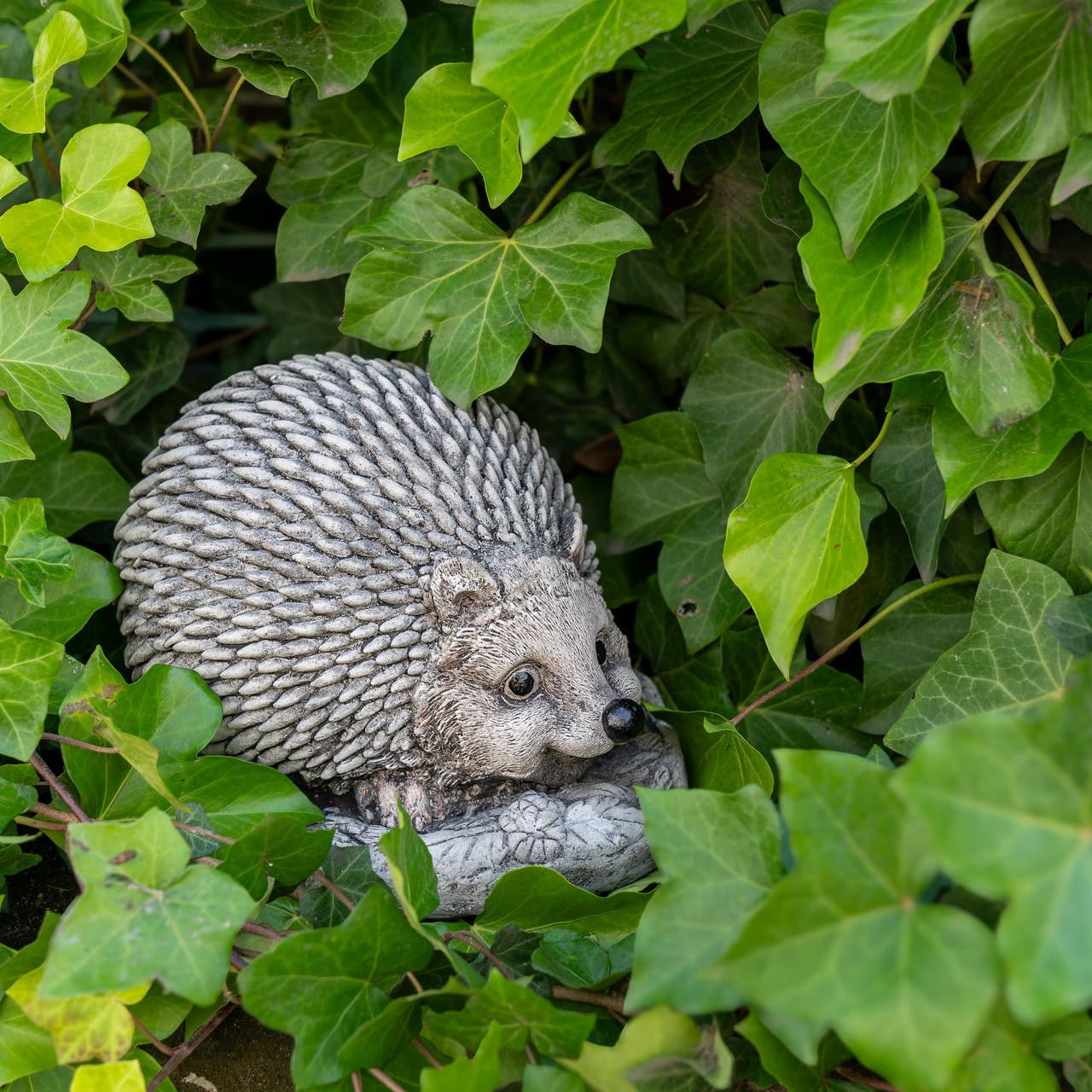 Adorable Spike Hedgehog garden ornament
