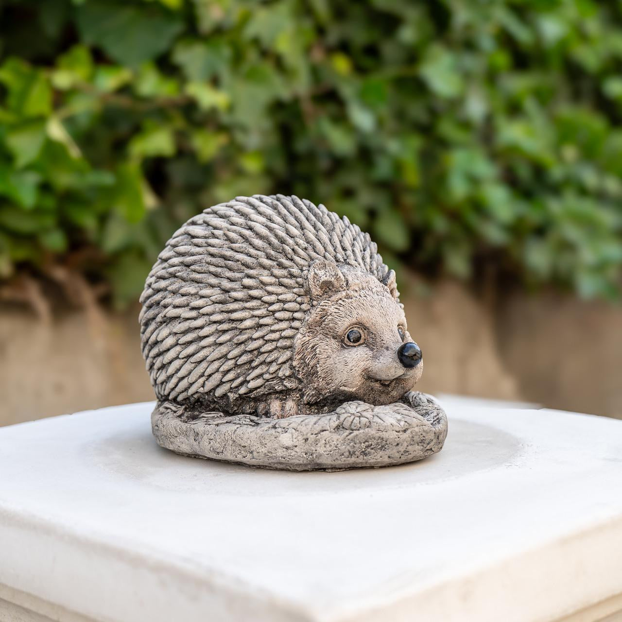 Adorable Spike Hedgehog garden ornament