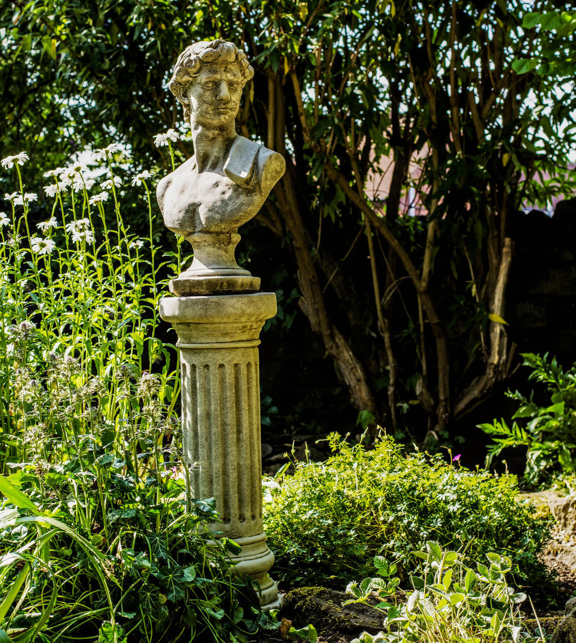 Classical David Bust on Tall Column