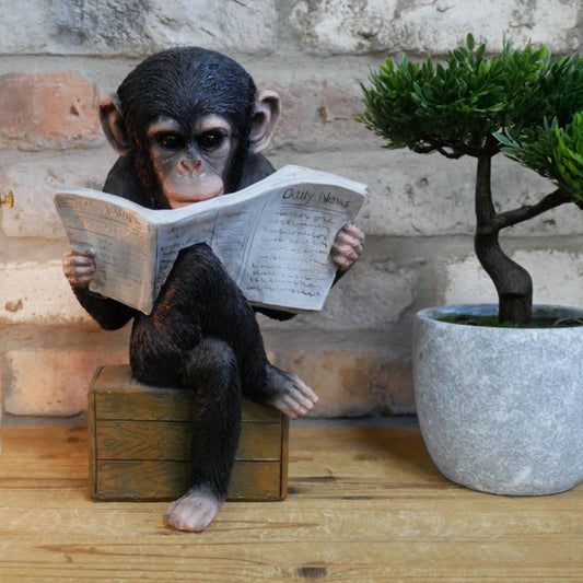 Cute Monkey Reading The News