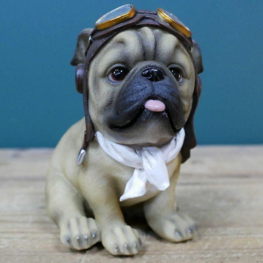 Dog Pilot