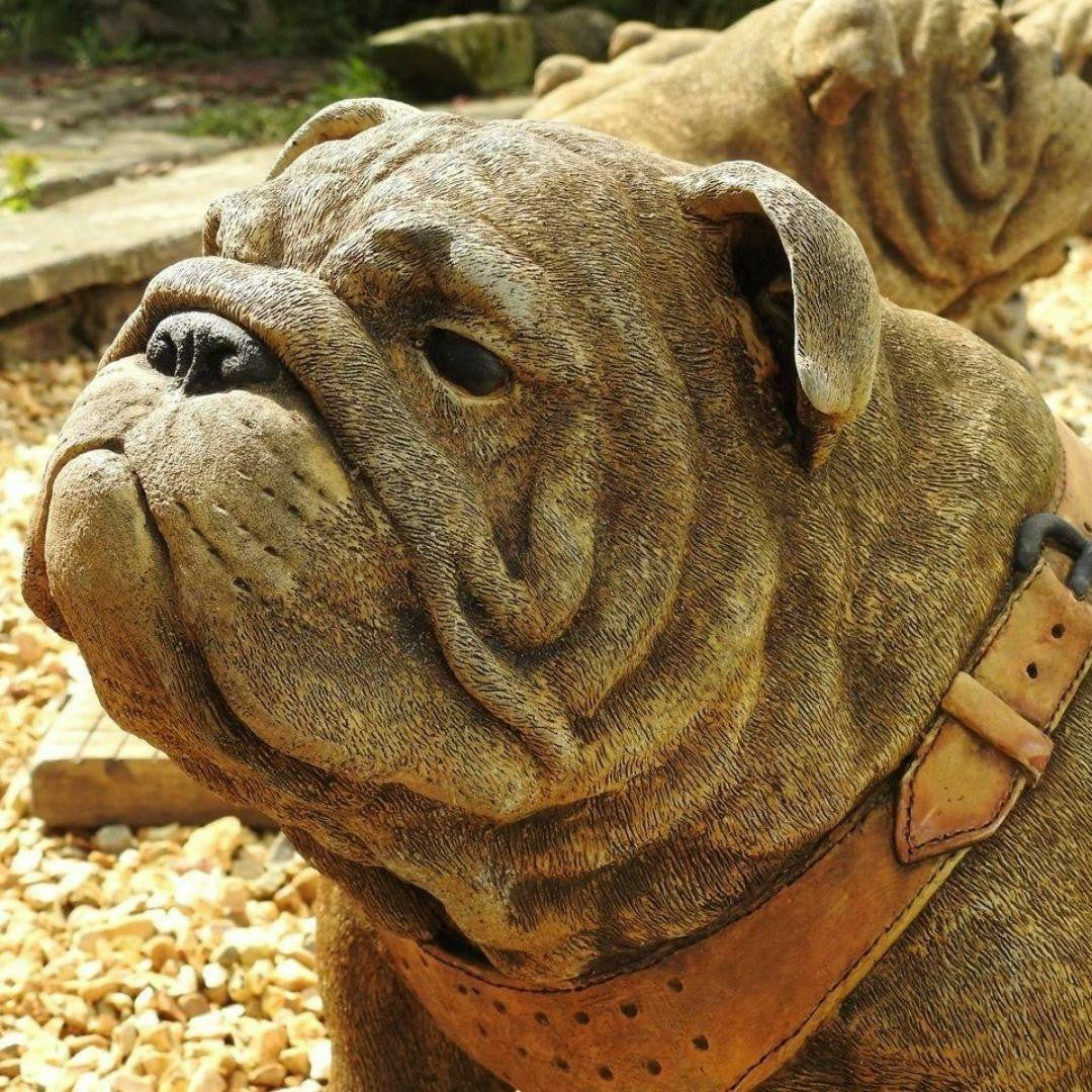 EXCLUSIVE Pair Life Size Sitting British Bulldogs Ornament Statue Hand Made in UK