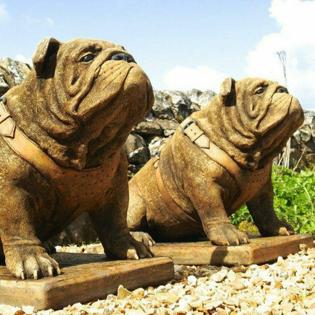 EXCLUSIVE Pair Life Size Sitting British Bulldogs Ornament Statue Hand Made in UK