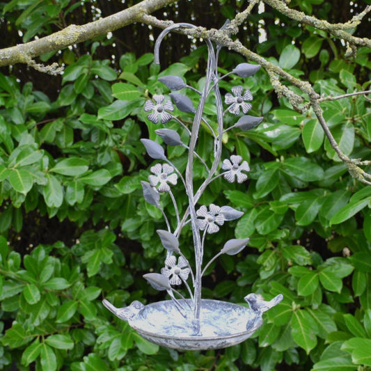 Flower with Robin Hanging Bird Feeder