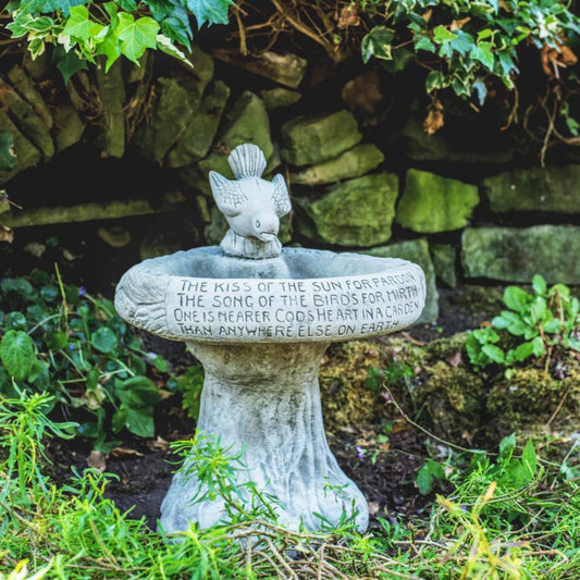 Garden Birdbath Kiss of Sun with Bird atop