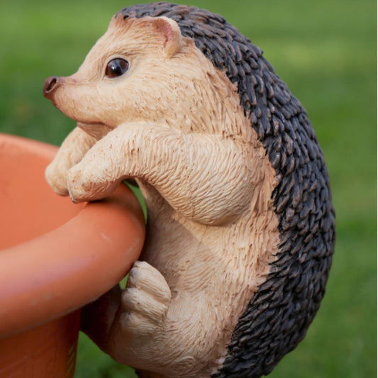 Hedgehog Pot Hanger Ornament