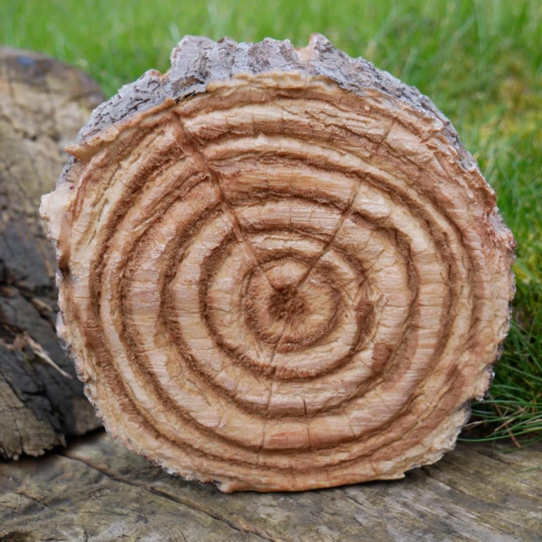 Hedgehogs In Log Home Accessory Garden Ornament