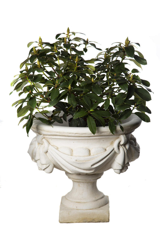 Large White/cream Draped Georgian Style Vase Planter Urn