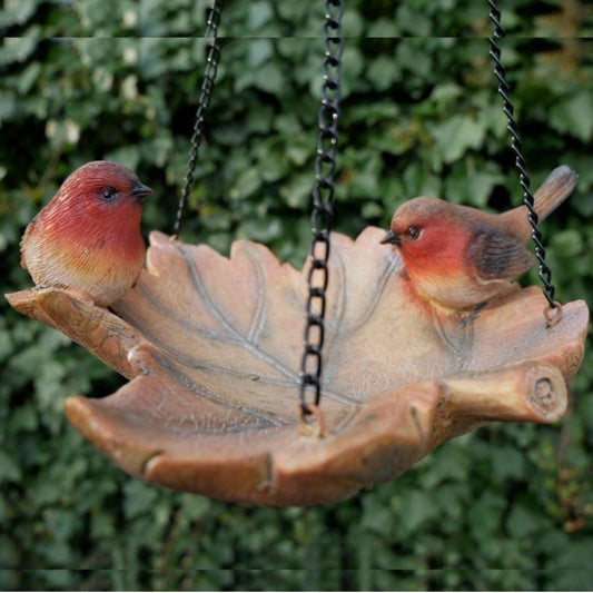 Robin Bird Feeder
