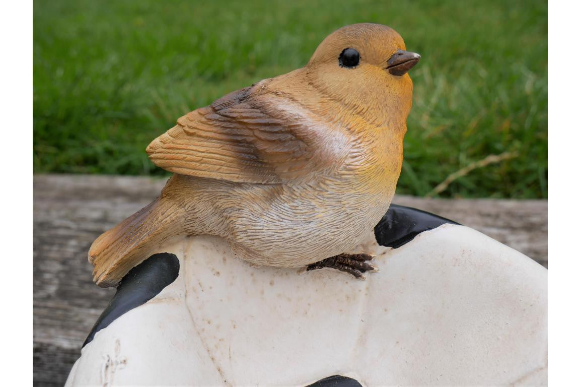 Robin sitting on a ball bird feeder