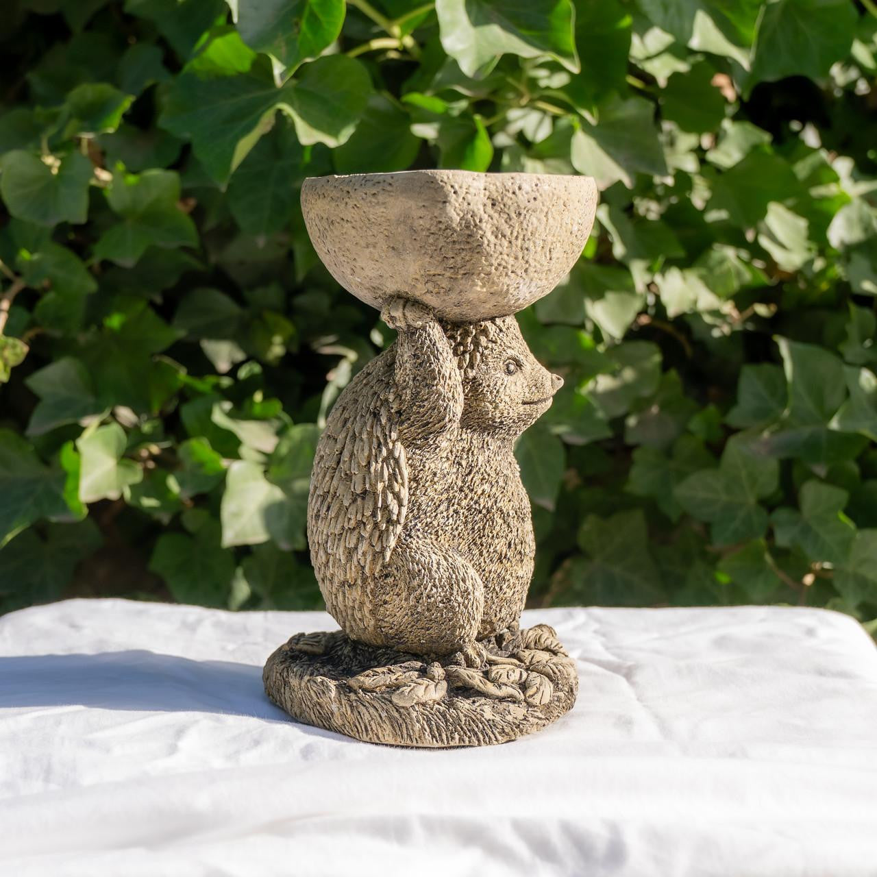 Small Adorable Hedgehog Design Stonecast Bird Bath