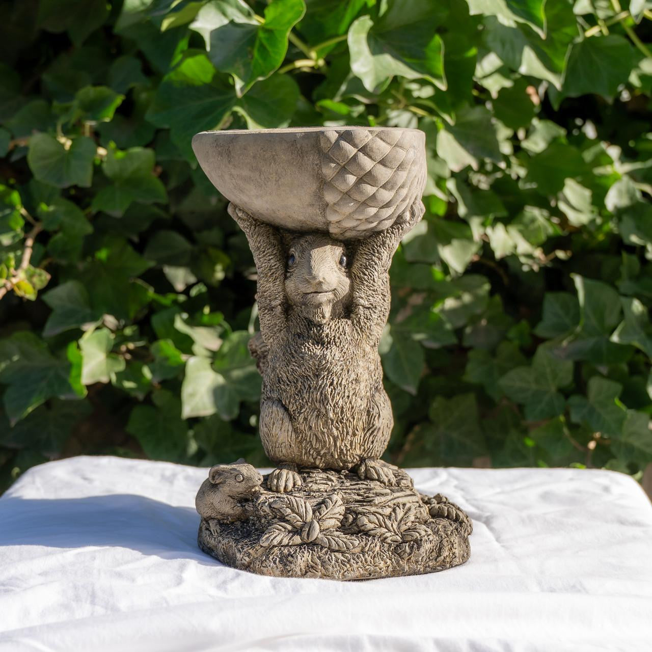 Small Adorable Squirrel And Nut Design Stonecast Bird Bath